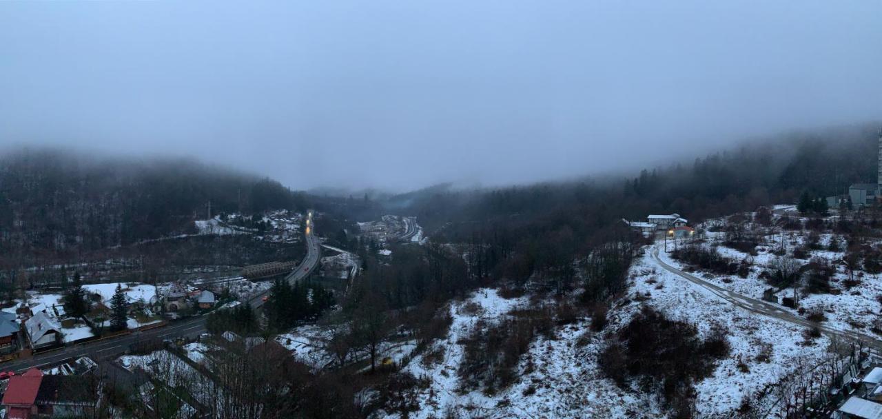 Perfect View Sinaia